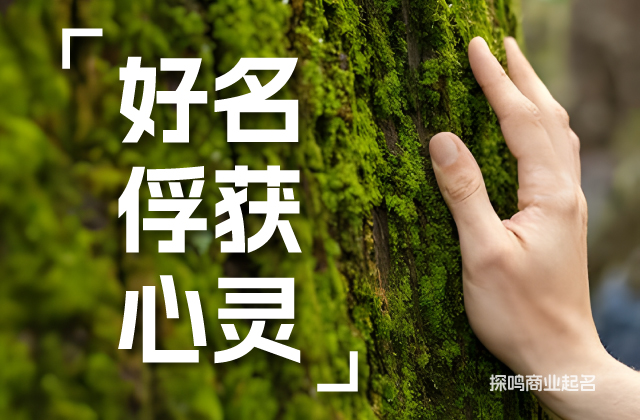 高雅命名常見的六種語言策略.jpg