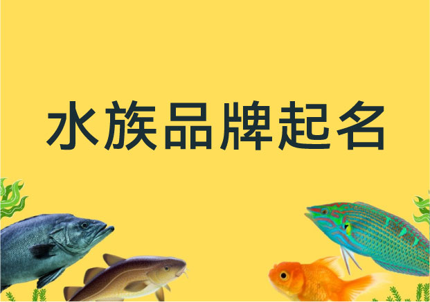 水族品牌起名：從“賣魚缸”到“造意境”，如何用名字裁出品牌的審美溢價？